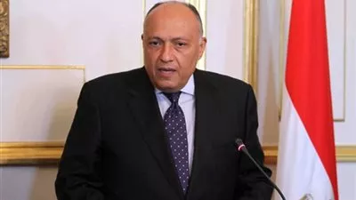 الخارجية: مبادئ جون كيري تنسجم مع الرؤية المصرية