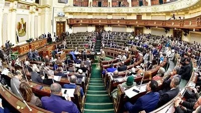 «النواب» يوافق على اتفاقيتين دوليتين بـ720 مليون دولار بشأن التنمية المستدامة