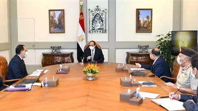 السيسي يوجه بتركيز نشاط المجمعات الصناعية لتحقيق الاكتفاء الذاتي