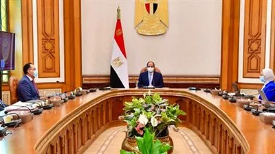 السيسى يتابع جهود مكافحة انتشار فيروس كورونا