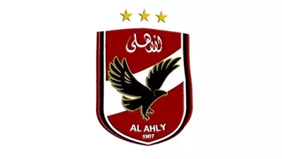 بالفيديو..
