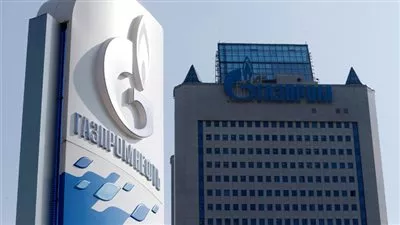 بالفيديو..