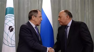  وزير الخارجية ونظيره الروسي يبحثان الأوضاع بالشرق الأوسط