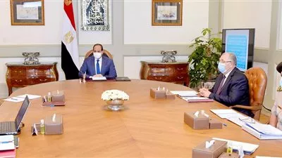 السيسى يوجه بمضاعفة تمويل مشروع البتلو بقيمة 2 مليار جنيه إضافية
