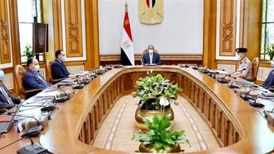 السيسى يوجه بالبدء الفورى فى انشاء منظومة النقل الذكى
