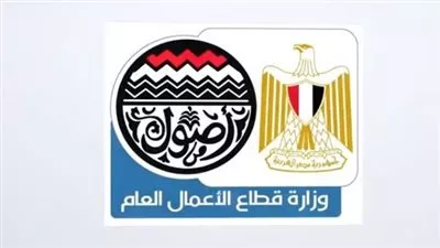 14 شركة وتحالف تتقدم بخطابات لإدارة شركة محطات شحن السيارات الكهربائية