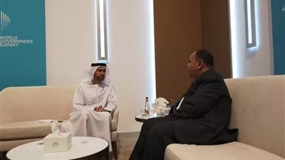 وزيرا المالية المصرى والإماراتي يتفقان على تعزيز التعاون لمواجهة التحديات العالمية