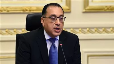 رئيس الوزراء يوافق على إعادة هيكلة بنك الاستثمار العربي