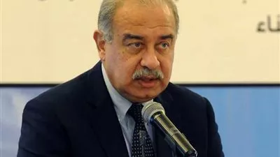 الحكومة: إجازة رسمية السبت مدفوعة الأجر بمناسبة عيد الميلاد