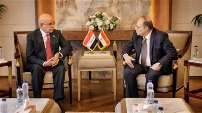 مصر والعراق تبحثان تعزيز التعاون الدوائي المشترك بين البلدين 