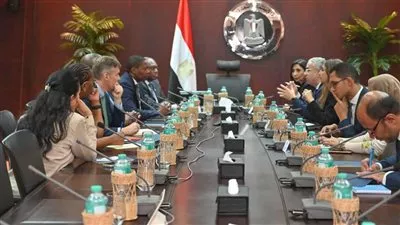 مصر تبحث مع «ستاندرد بنك» سبل تعزيز التعاون الاستثماري والتجاري فى أفريقيا