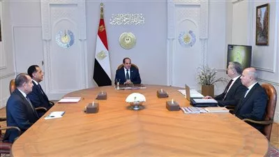 السيسى يوجه بتوفير حوافز و تيسيرات لمستثمرى قطاعات البترول والغاز والتعدين