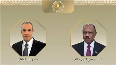 وزير الخارجية يبحث سبل دعم جهود التوصل لتسوية شاملة للأزمة السودانية