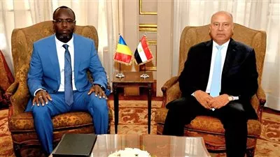 مصر وتشاد تبحثان إنشاء مزارع حيوانية ومجازر آلية مشتركة