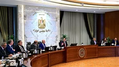 الحكومة توفر احتياجات الطاقة لمصانع بالمنطقة الاقتصادية لقناة السويس