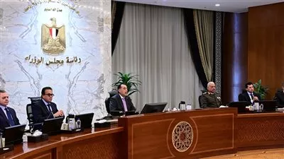 مجلس الوزراء يوافق على إنشاء الجامعة الدولية للعلوم والفنون والتكنولوجيا