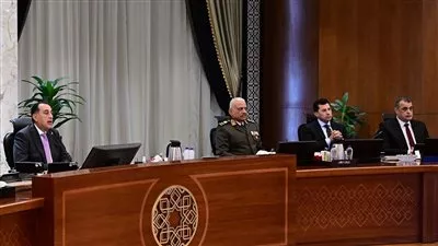 تخصيص قطعتي أرض لإقامة ميناء جاف ومنطقة لوجيستية في وادي النطرون بالبحيرة