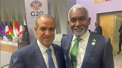 مصر تبحث مع نيجيريا تعزيز التعاون فى مجالات الزراعة والدواء والطاقة والإنشاءات