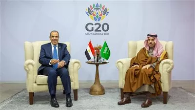 وزير الخارجية يبحث مع نظيره السعودي تطورات الأوضاع فى دول المنطقة
