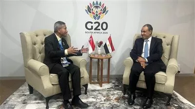 وزير الخارجية يدعو الشركات السنغافورية لزيادة الاستثمارات في مصر