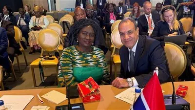 وزير الخارجية يبحث سبل زيادة التبادل التجاري والاستثمارات المشتركة مع غانا