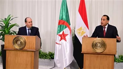 مصر تشكل مجموعة مشتركة لمتابعة تنفيذ وتفعيل مذكرات التفاهم مع الجزائر