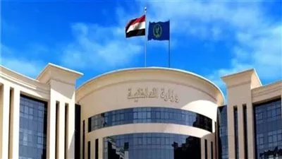 «الداخلية» تقرر السماح لـ 45 مواطنًا مصريًا بالحصول على جنسيات أجنبية