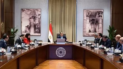 رئيس الوزراء يتابع خطط التطوير والتشجير بالقاهرة الكبرى 