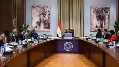 رئيس الوزراء يُتابع مستجدات توفير الكهرباء من مشروعات الطاقة الجديدة والمتجددة