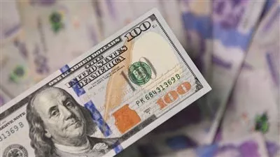 سعر الدولار في البنوك المصرية اليوم السبت 29 نوفمبر 2025