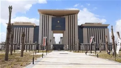 مصر تحيي اليوم العالمي للتضامن مع الشعب الفلسطيني