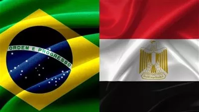شركة برازيلية تخطط لإنشاء مراكز بيانات في مصر