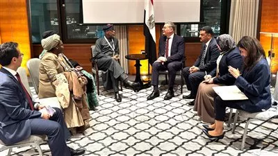 مصر ونيجيريا تبحثان فرص تعزيز التعاون المشترك فى قطاع التعدين