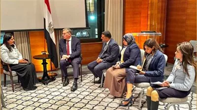 وزارة «البترول» تبحث مع «أنجلو جولد أشانتي» ضخ استثمارات جديدة في تعدين الذهب