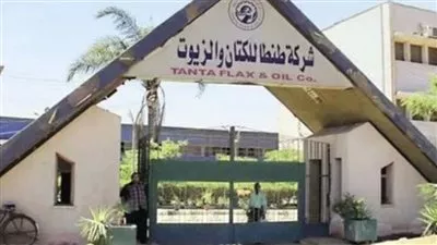 زيادة رأسمال شركة طنطا للكتان والزيوت إلى 200 مليون جنيه