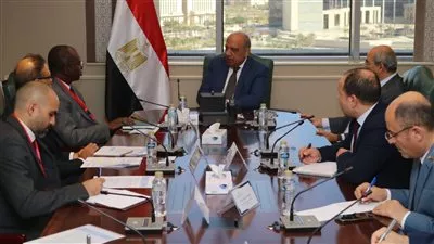 مصر تبحث دعم مشروعات الطاقة المتجددة مع مؤسسة التمويل الدولية «IFC»