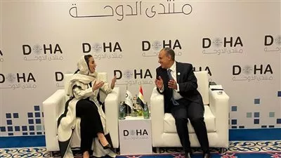 وزير الخارجية يؤكد التزام مصر بتعزيز التحول الرقمي وتطوير سياسات الذكاء الاصطناعي