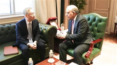 مصر وكوريا الجنوبية تبحثان التعاون فى استخلاص العناصر الأرضيّة النادرة