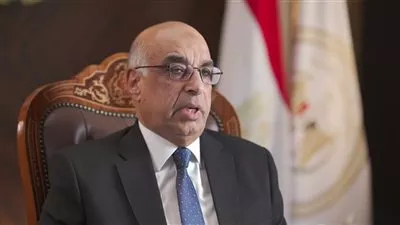 نقل مقرات نيابات و محاكم بالوادى الجديد إلى مجمع «الخارجة»