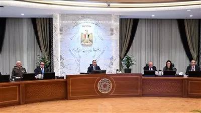 الحكومة توافق على تنفيذ مشروع لطاقة الرياح بمنطقة رأس شقير