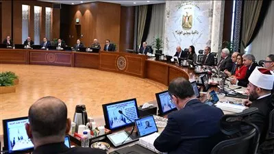 الحكومة تعد مشروعًا لتشديد غرامات جرائم الشائعات والأخبار الكاذبة في قانون العقوبات