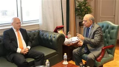 مصر والسويد تبحثان التعاون بمجالات الطاقة المتجددة وشبكات الكهرباء الذكية