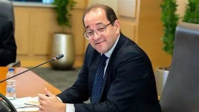 وزير المالية: تشكيل لجنة عليا مشتركة لنشاط التطوير العقاري