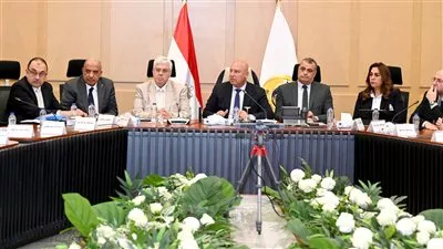 «برومتيون» الصينية تؤسس مصنع للإطارات باستثمارات 300 مليون دولار