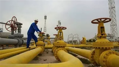 «البترول» تقر تنفيذ وتعديل خطي غاز في محافظتي الجيزة والغربية