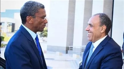 وزير الخارجية يبحث سبل تعزيز التعاون الاقتصادي بين مصر و سيشل