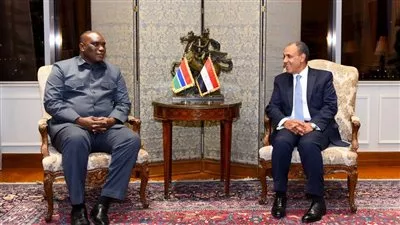 وزير الخارجية يبحث مع نظيره الجامبي سبل تعزيز العلاقات الثنائية