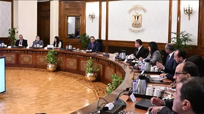 مصر تتفاوض مع شركات عالمية لتصنيع مكونات مشروعات تحلية مياه البحر