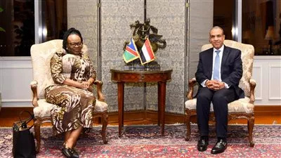 مصر وناميبيا تبحثان التعاون في مجالات استيراد اللحوم والنقل البحري