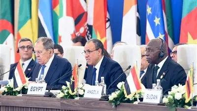 وزير الخارجية يستعرض رؤية مصر للأمن والتنمية في أفريقيا